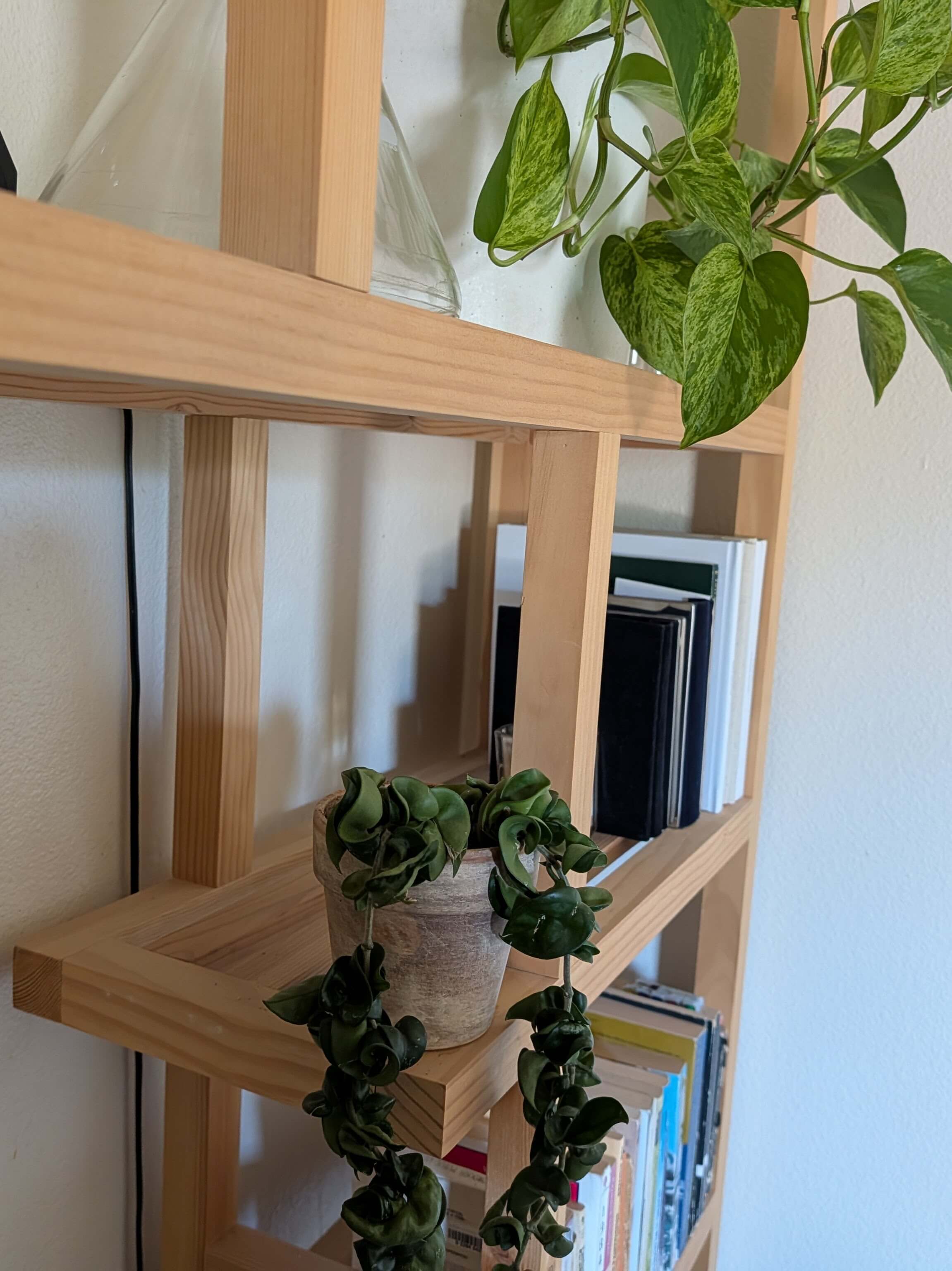 Custom built-in plant stand and bookshelf